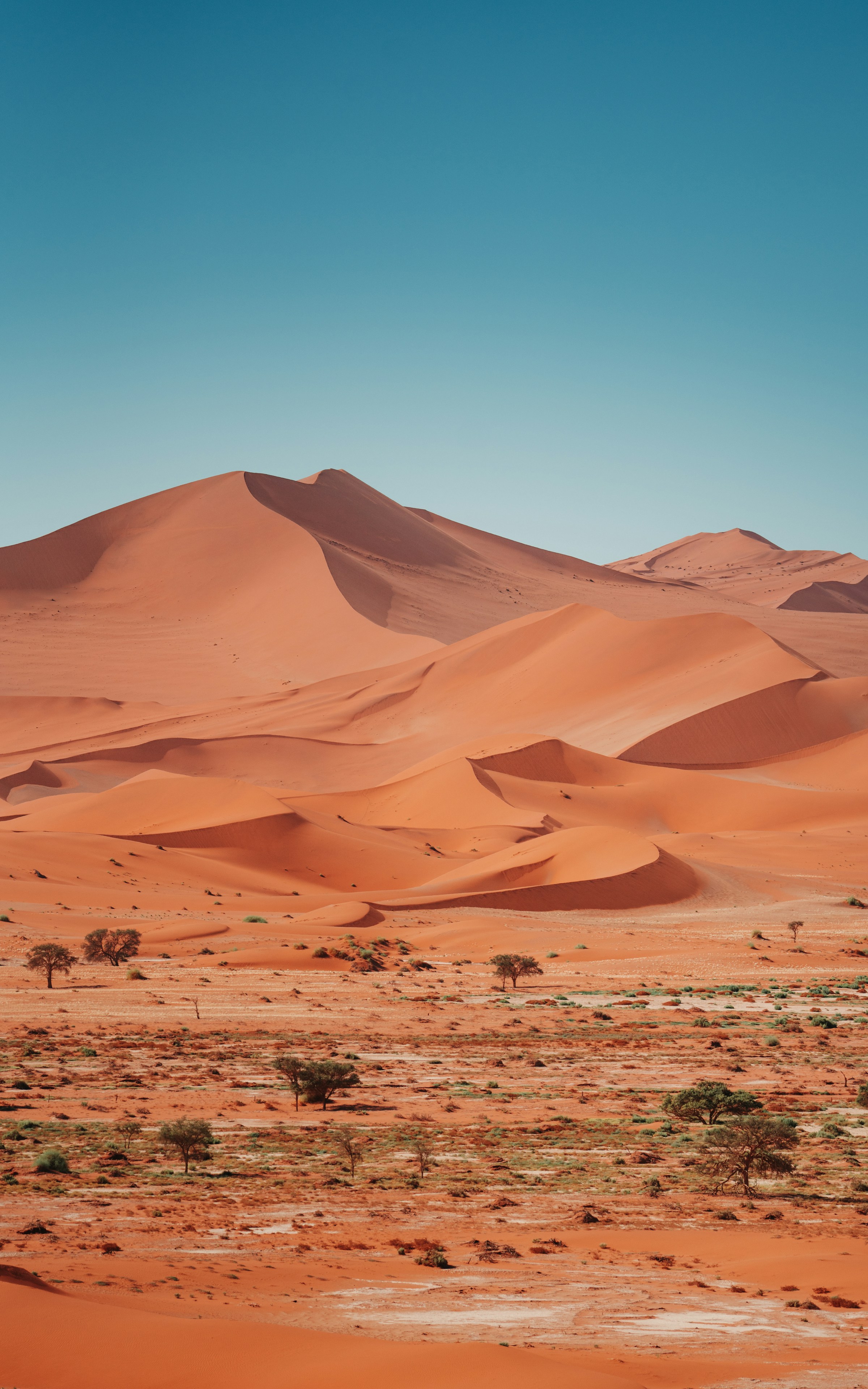 SOSSUSVLEI · NAMIBIA landscape